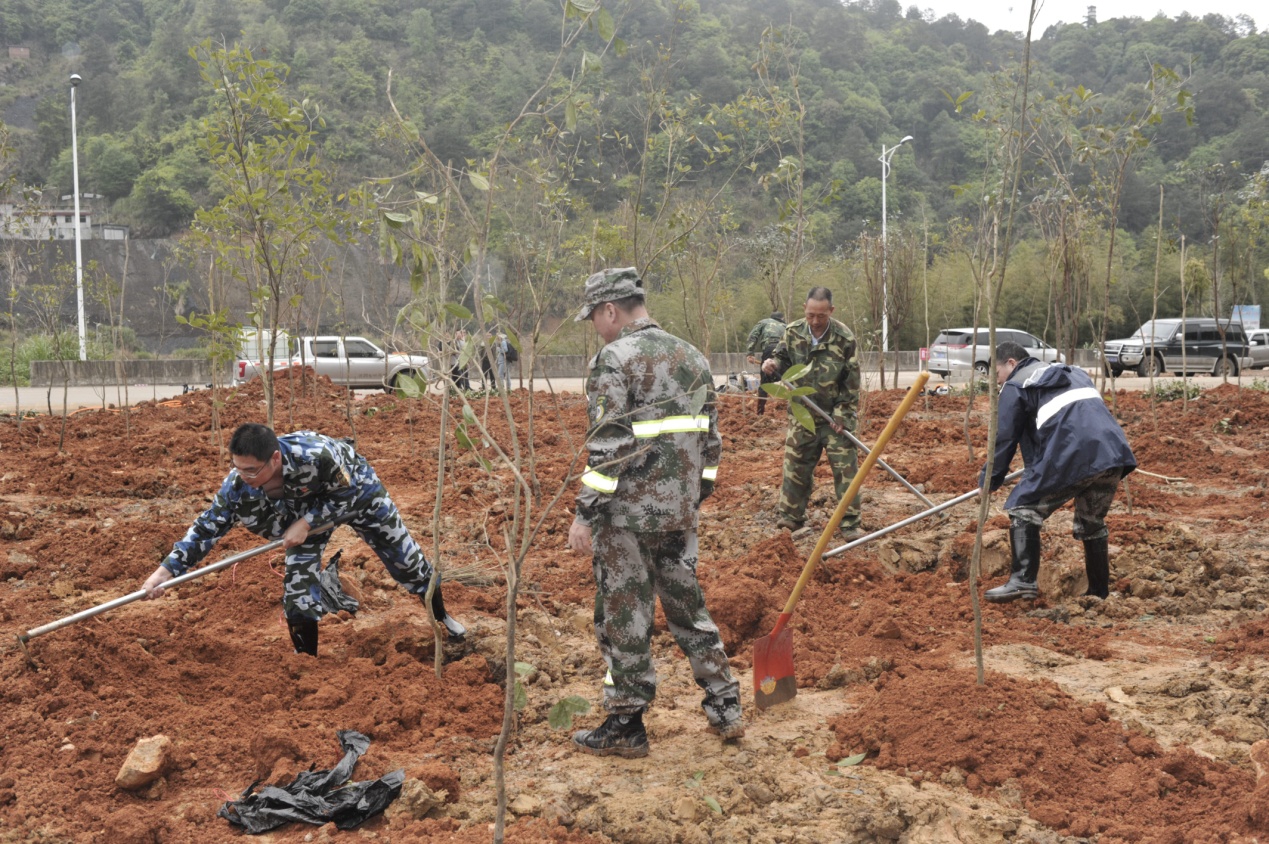 陽春三月雨，正是植樹好時(shí)節(jié)