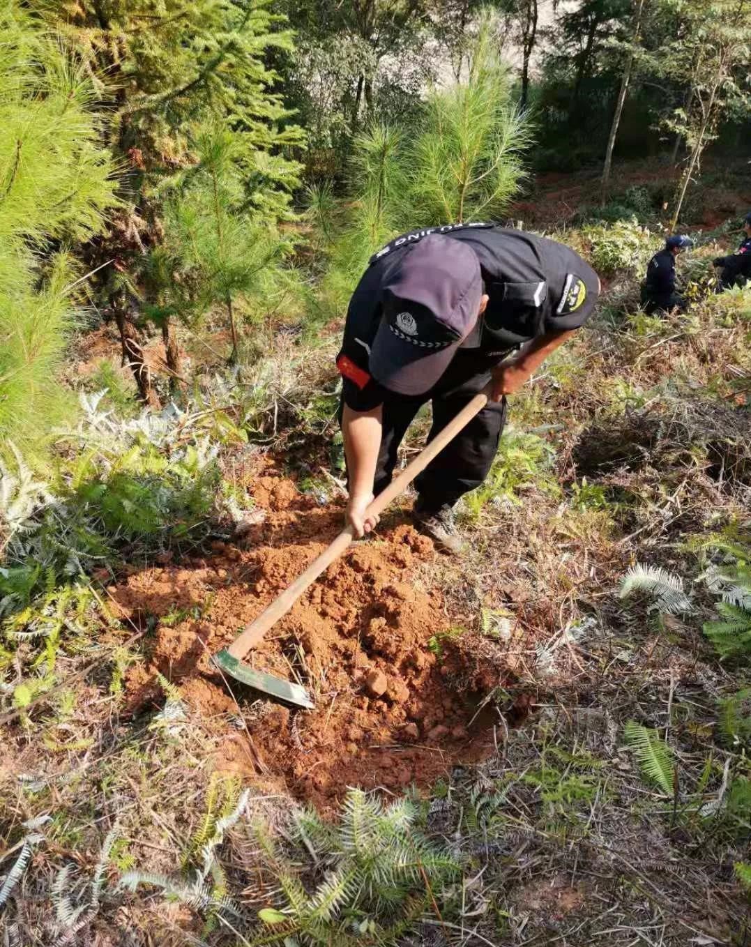 干好每一天|青山掛白我復綠，無私奉獻金森人——資源保護部義務突擊隊工作記實