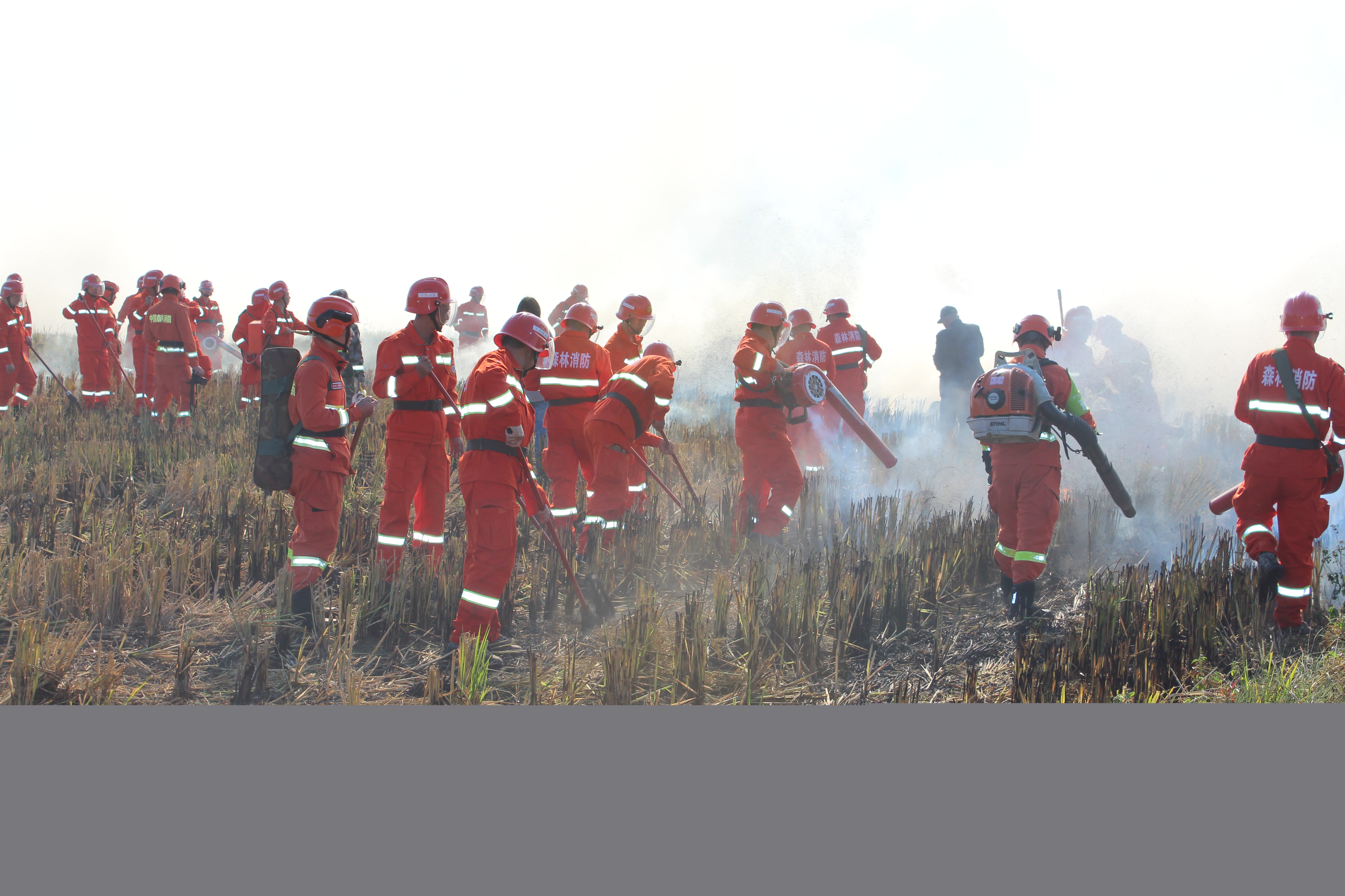 干好每一天|福建金森開(kāi)展森林防火業(yè)務(wù)培訓(xùn)及防火演練