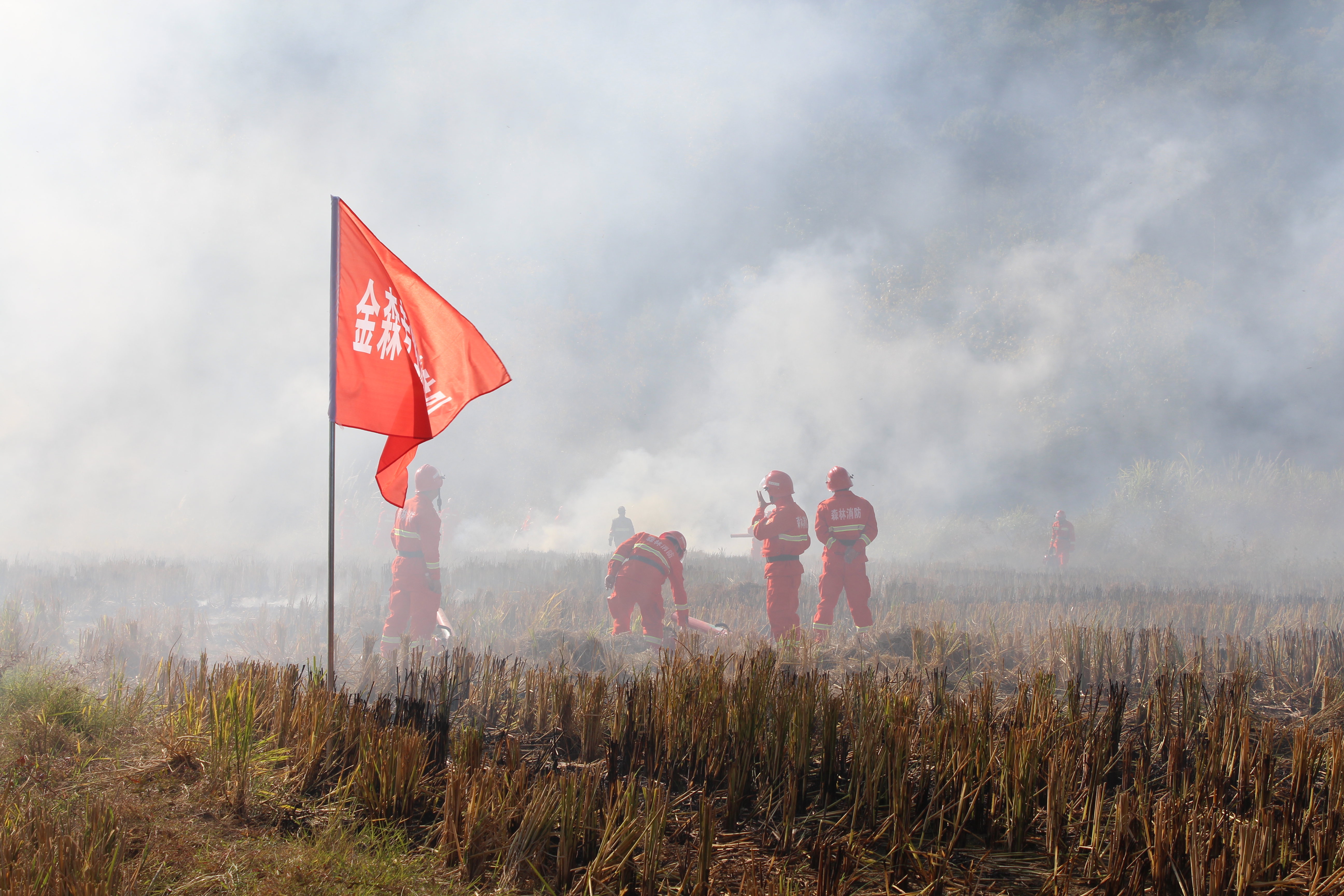 干好每一天|福建金森開(kāi)展森林防火業(yè)務(wù)培訓(xùn)及防火演練