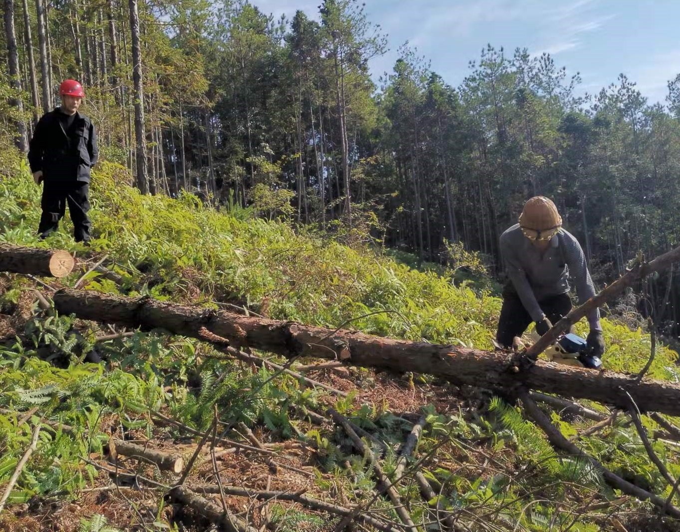 筑牢安全防線，守護一方平安 ——將溪分公司安全生產工作紀實