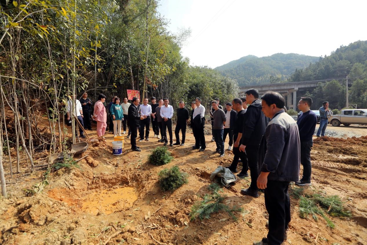 不負春光好，搶播萬畝林 ——將樂縣村企合作造林工作現場會在福建金森召開